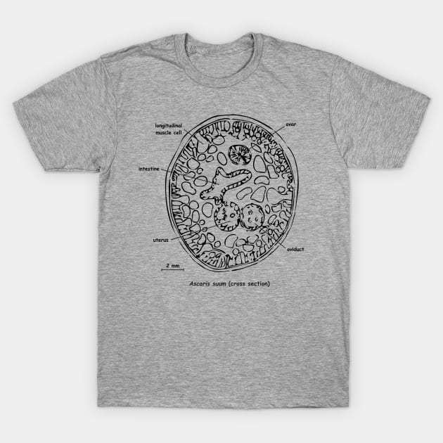 Cross section of Ascaris suum, labelled T-Shirt by RosArt100